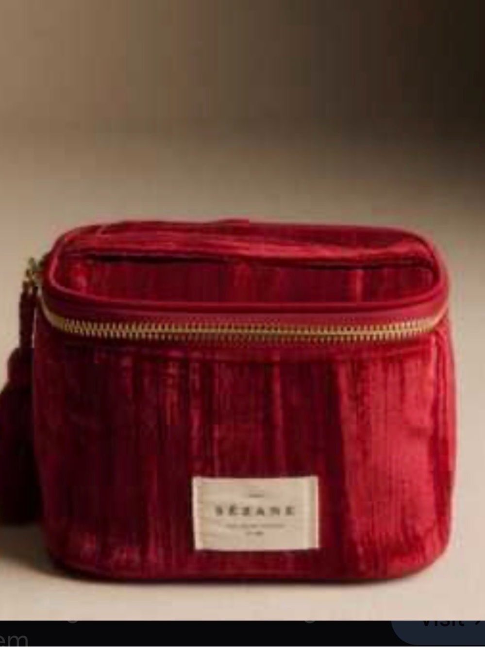 Velvet Cosmetic Case in Deep Red with Gold Zip